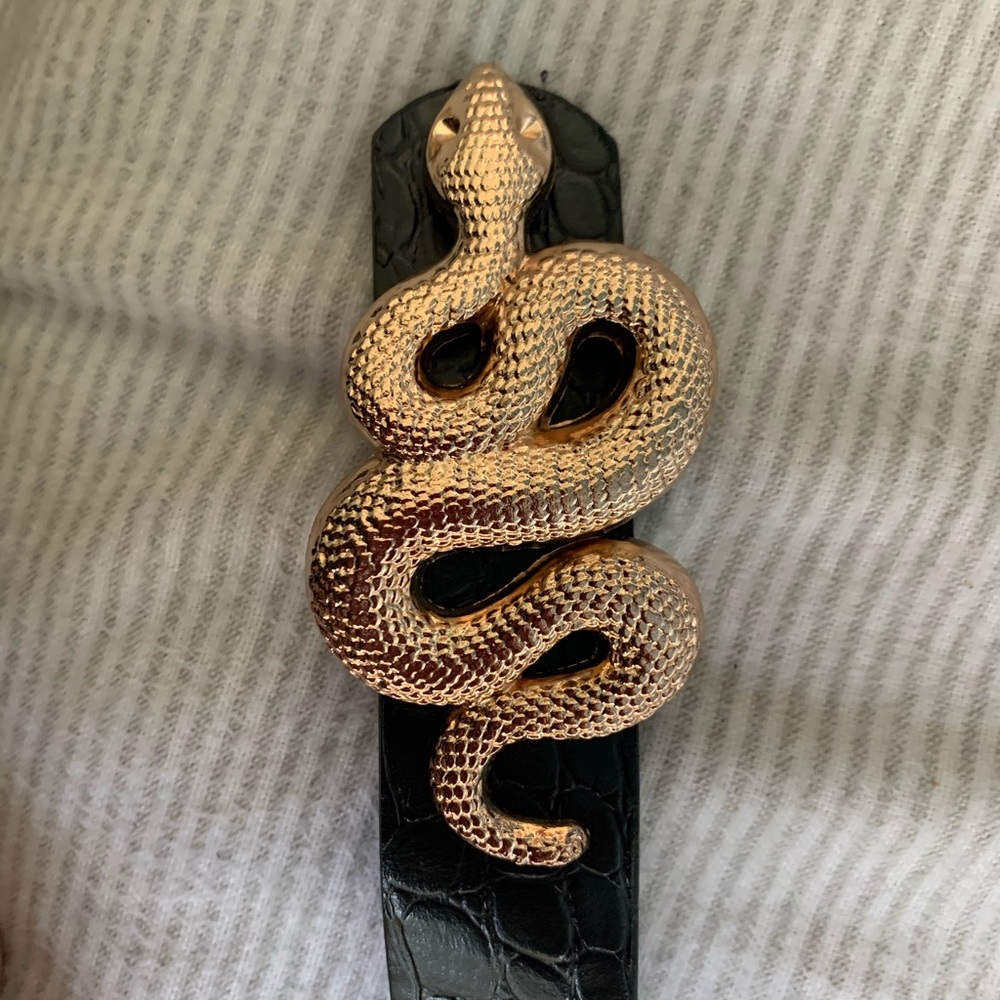 Snake belt